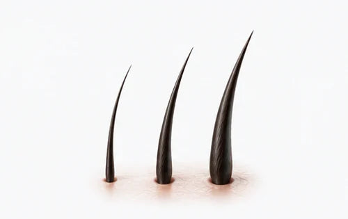 Illustration of hair strands increasing in thickness